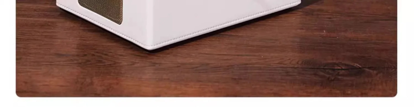 Lecteur de CD portable